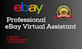 virtual assistant for ebay manage your store products