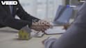 do skip tracing for real estate llc skip tracing