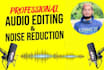 do professional audio editing and noise reduction