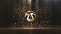 create a magical gold logo intro animation