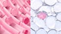 create 3d cosmetics animation 3d product animation 3d bottle design cgi