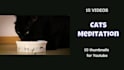 create cat meditation music video for youtube channel