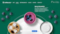provide 12 morph powerpoint templates for editing