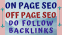 provide top SEO service