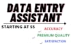 do data entry in excel accurately and also web search