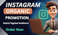 do organic instagram promotion to boost engagement
