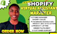 shopify virtual assistant, store promotion, facebook google ads, SEO sales boost