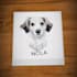 draw digital scribble pet portrait