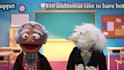 record a doctor or professor puppet video about anything