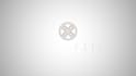 make a professional customized logo animation
