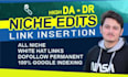 do top quality link insertion niche edit, guest post SEO backlinks