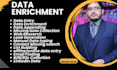 do data entry, data appending, data enrichment and missing data collection