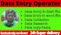 do data entry and web research
