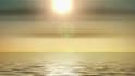 provide a warm,  calming voice for your meditation and affirmations