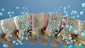 create 3d medical surgery videos
