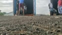 do basic video editing trimming and adding text or music