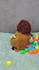 do crochet baby vest patterns