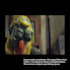 provide professional sound design