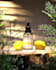 create high end 3d products ads for you brand