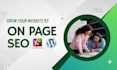 do onpage and wordpress SEO website optimization for your website