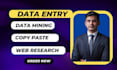 provide accurate data entry, copy paste, data mining