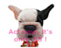 be Bruce, the dog, your Animal Spokesperson
