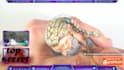 make professional video tutorial miniatures paint