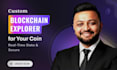 build a custom blockchain explorer for your coin