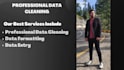 clean excel spreadsheet, excel data cleaning, data cleanup