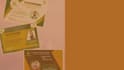 fulfill your artistic graphic needs within 48 hours