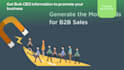 b2b lead generation and marketing service