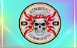 do professional skull logo design