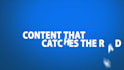 write PROFESSIONAL biography, about us or web page