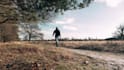 do color correction and color grading