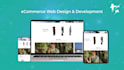 develop website and web application using PHP laravel, vue js, react js, nuxt js