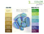 create a custom color palette for your brand