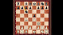 give chess coaching for beginner players