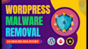 provide wordpress malware removal, website security