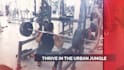 do sports fitness promo gym video for social media