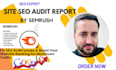 perform a detailed SEO site audit report  for  boost ranking