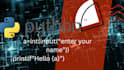 do your python projects, assigment , logo design and teach python