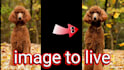 turn your image to animate or moving vedio