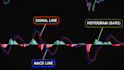 create an expert level forex and crypto trading course