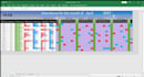 create a fully automated excel attendance sheet for you