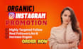 do grw your instagram with targeted promotion