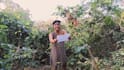 create a unique birthday message video with a jungle theme