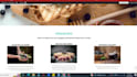 set up the ecwid store, design, redesign, product list with SEO optimize
