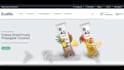 develop an SEO friendly prestashop ecommerce store