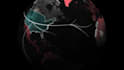 do globe animations like inside geopolitics