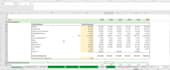 do professional business valuations and financial models